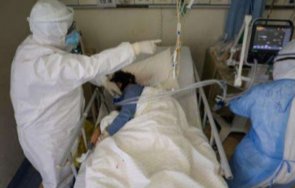 covid уби пациенти пловдив денонощие жертвите години