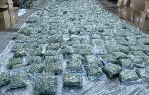 свързват братовчеди зоран заев задържано голямо количество марихуана