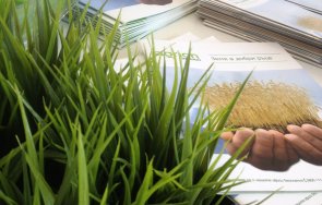 продавайте земя късно цената падне