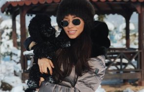 Гергана Грънчарова Къртицата