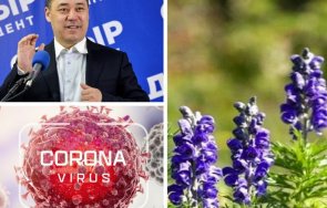 авангардно лекуват коронавируса