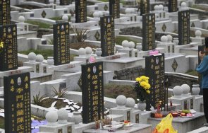 ковчегът желаният подарък китай