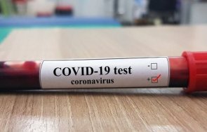 500 новозаразеуни коронавируса бразилия денонощие