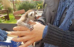 Бургас зоопарк