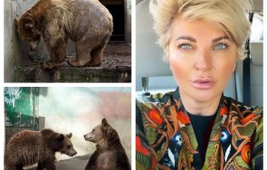 Силвена Роу и мечки