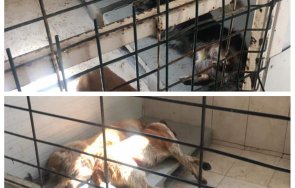 ОП Екоравновесие