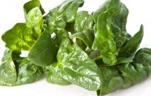 богатите магнезий храни