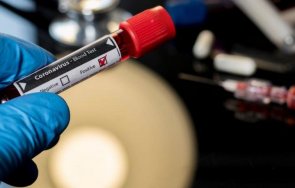 700 новозаразени коронавируса аржентина денонощие