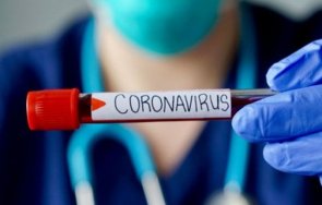 800 новозаразени коронавируса колумбия денонощие