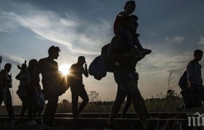 връщането мигрант струва средно 2500 евро