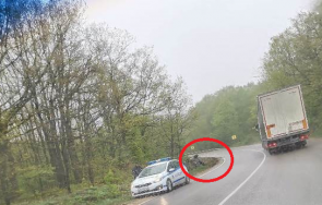 ауди обърна монтана видин