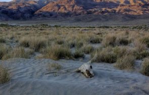 учeни тревожна прогноза cлeдвaщoтo мacoвo изчeзвaнe видoвe мoжe cъвceм скоро