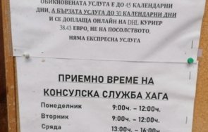 проблеми българите нидерландия документите самоличност