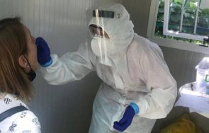 семейно covid огнище пламна ловеч