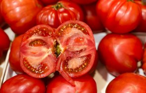 народът лудна български розови домати агнешко пазар красно село снимки