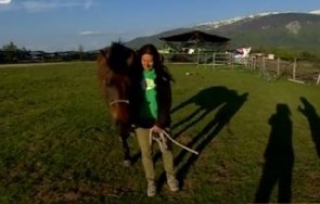 кон помагащ деца специфични нужди изчезна мистериозно стопанство софия