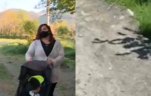 асфалтирана улица документи златица