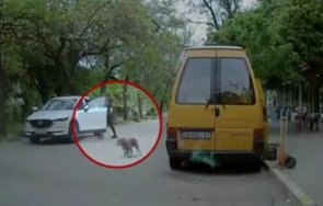 заснеха стопанка изхвърля кучето оживена улица