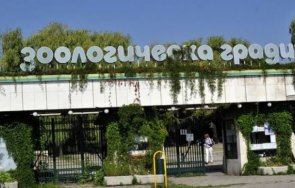 столичният зоопарк отбелязва 133 години създаването