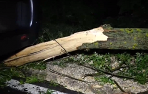 среднощна буря градушка удари русе паднали дървета предизвикаха катастрофи снимки