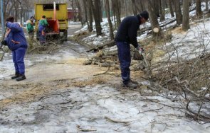 извозиха пет камиона отпадъци акция почистване дановия хълм пловдив