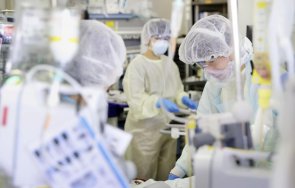 япония черен рекорд заради covid