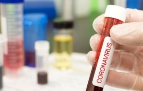 индийският щам коронавируса стигна русия