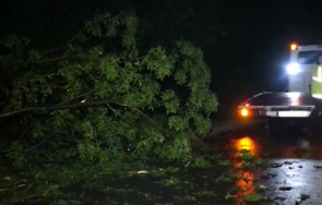 среднощна буря градушка удари русе паднали дървета предизвикаха катастрофи снимки