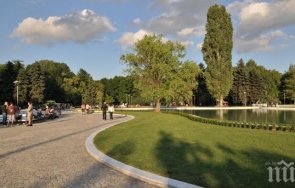 пет благотворителни каузи събраха жителите велико търново