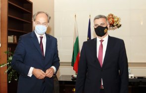 посланикът германия предложи янев съдействие провеждане изборите