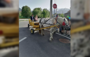 абитуриентка банско отиде бала каруца