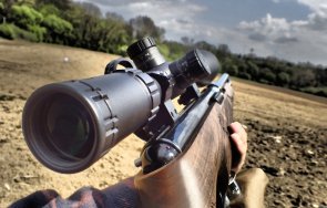 мъж гръмна куче двор въздушна пушка