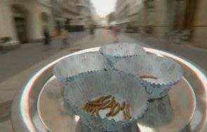 одобри консумация жълтия брашнен червей