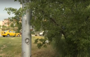 недоволни шофьори превърнаха градинка софия тоалетна