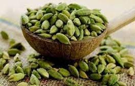 неочакваните ползи зеления кардамон нов тип антибиотици