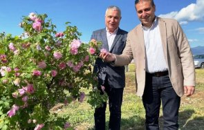 заместник министър крум неделков работим варианти подкрепа розопроизводителите снимка