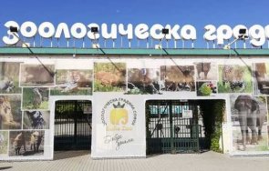 софия бургас варна пловдив общи зелени решения