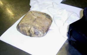 604 килограма наркотици унищожени изгаряне