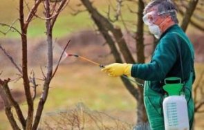 земеделците получиха млн лева зимни пръскания