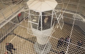 години лежи затвора изнасилвач малолетни момичета