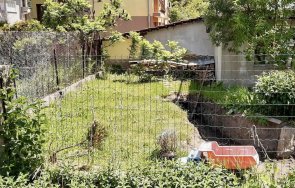 сигнал пик хора костя копейкин възраждане сложиха ръка част двора детска градина