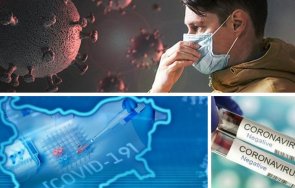 последни данни 208 случая коронавирус нас починалите денонощието