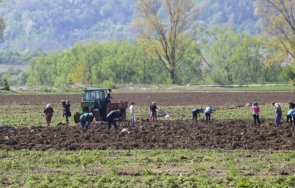 инспектори труда засилват проверките ниви ферми