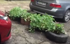 граждани барикадираха алея стрелбище кашпи заради профучаващи коли столична община взеха