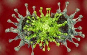В Марсилия е открит нов вариант на коронавируса твърди доклад на