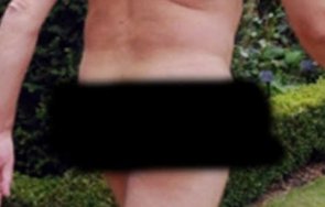 луд тича гол малък поровец пил вода локва пасъл трева