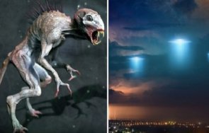 нло достави земята създание подобно чупакабра видео