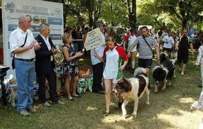 киноложка изложба монтана събра кучета цялата страна