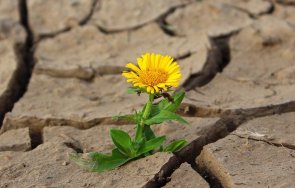 половин българия застрашена суша