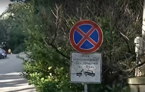 опашките кулата частен паяк златни пясъци вдигна кола баща три деца търси цял ден